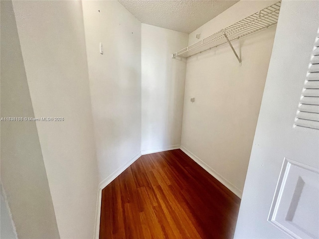 walk in closet featuring wood-type flooring