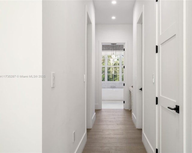 hall featuring light hardwood / wood-style flooring