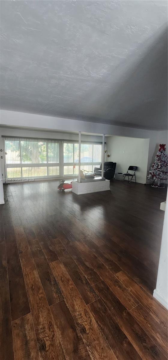 interior space featuring dark hardwood / wood-style floors and a wealth of natural light