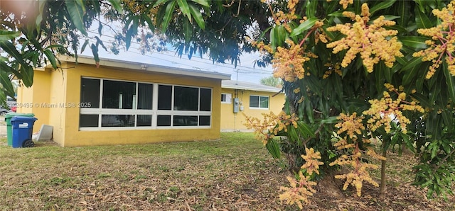 back of house featuring a yard