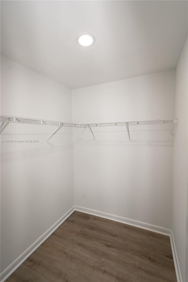 spacious closet with dark wood finished floors