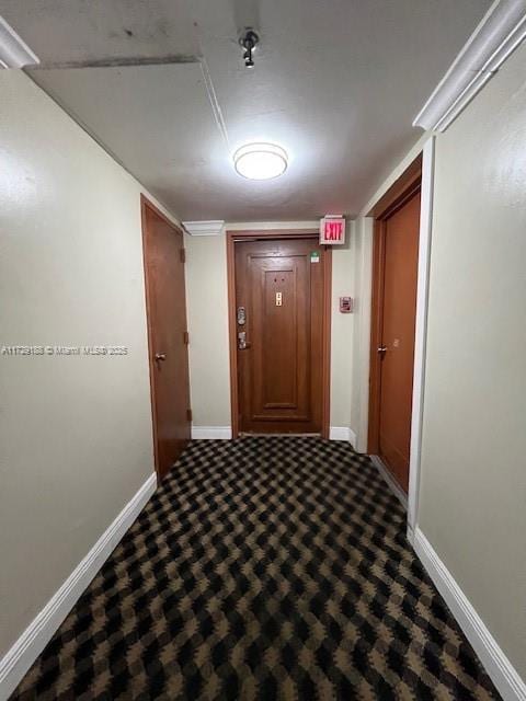 hallway with carpet flooring