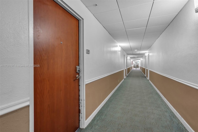 hallway with a paneled ceiling, carpet flooring, and baseboards