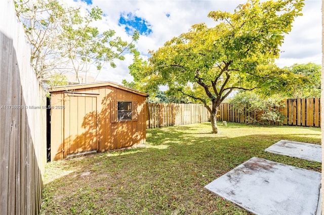 view of yard with a storage shed and a patio