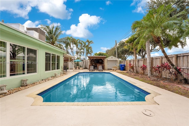 view of pool with a patio and a storage shed