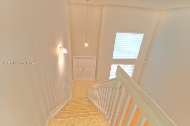 stairway with a towering ceiling and carpet flooring