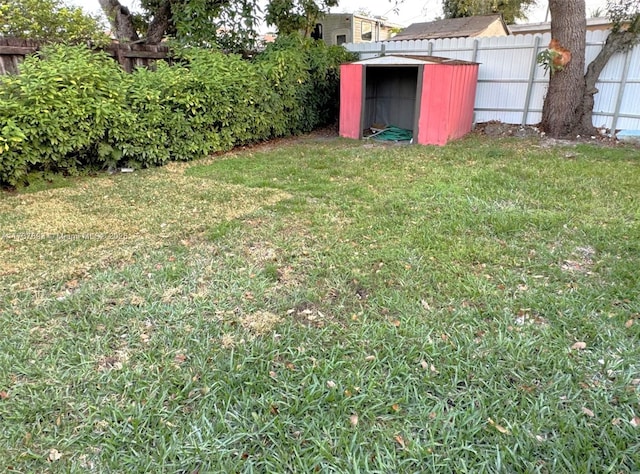 view of yard with a storage unit