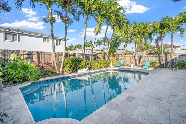 view of pool featuring a patio area