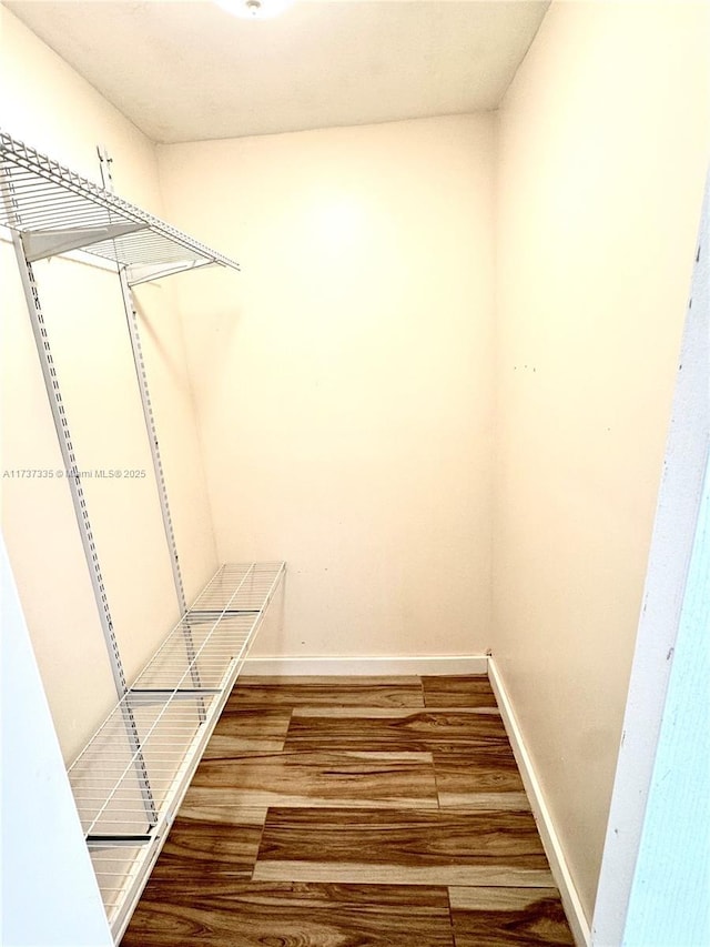 walk in closet with wood-type flooring