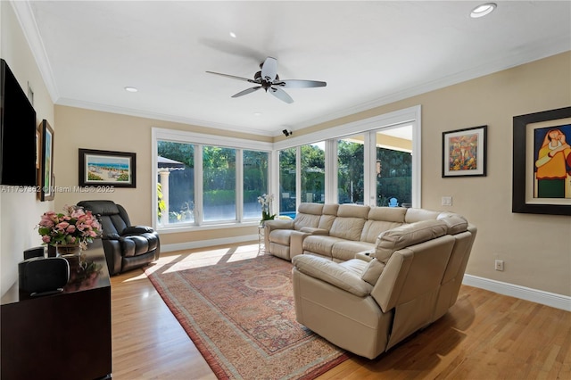 living room featuring crown molding, ceiling fan, and light wood-type flooring