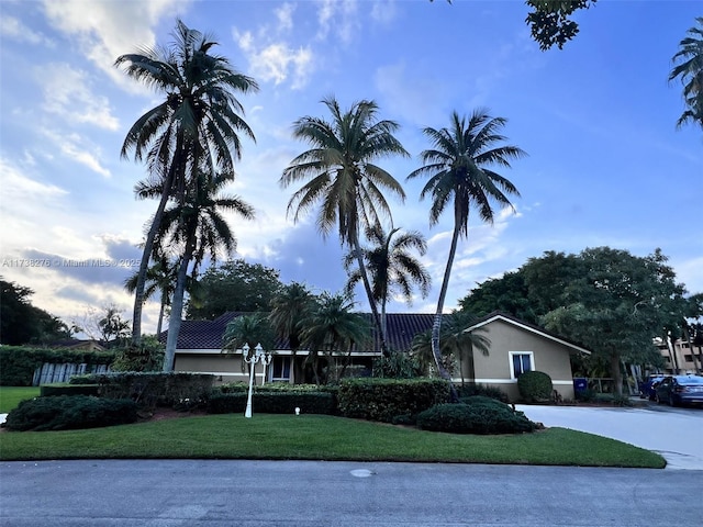 ranch-style home with a front lawn