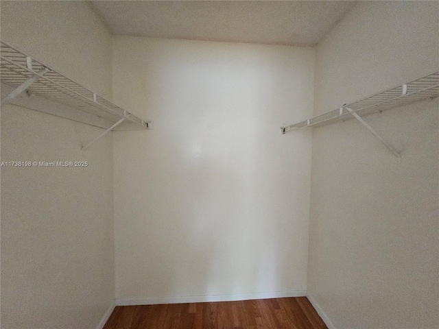 spacious closet featuring hardwood / wood-style floors