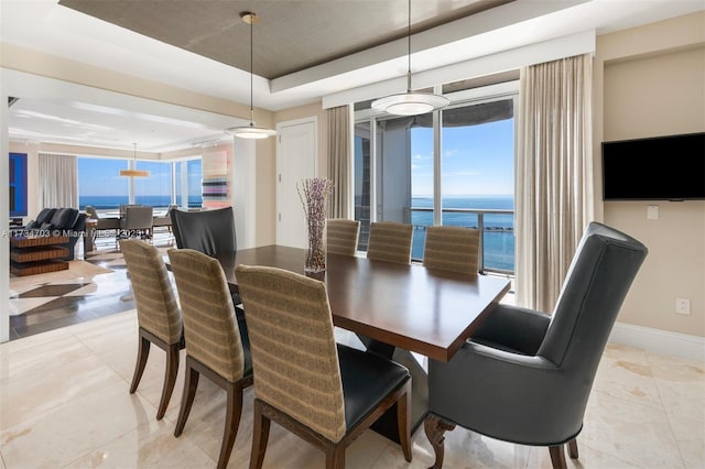 dining area with a tray ceiling