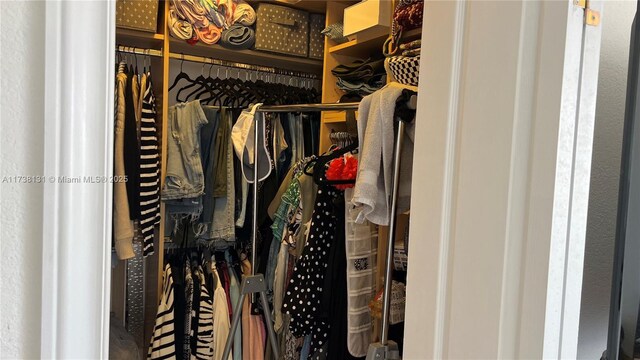 10050 NW 4th Ln, Miami, FL 33172 - view of spacious closet