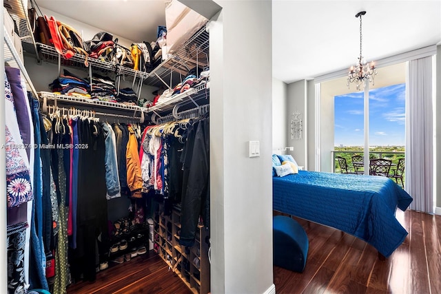 spacious closet featuring dark wood-type flooring and an inviting chandelier