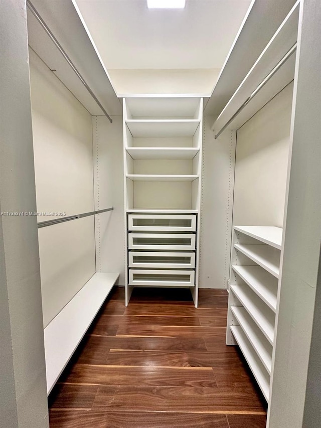 spacious closet with dark hardwood / wood-style floors