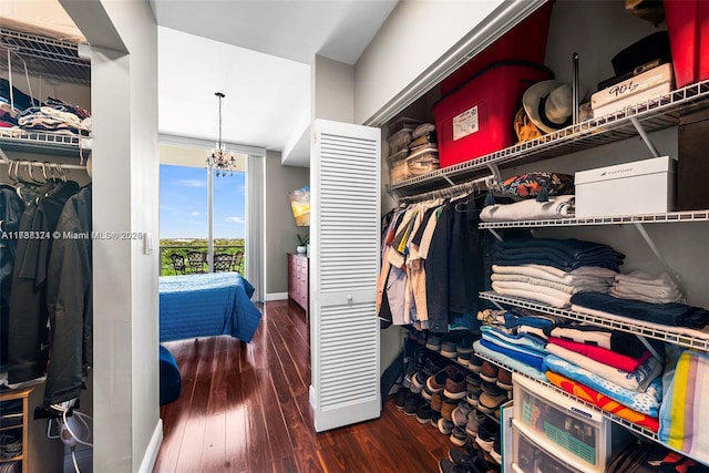 walk in closet with hardwood / wood-style floors and a notable chandelier