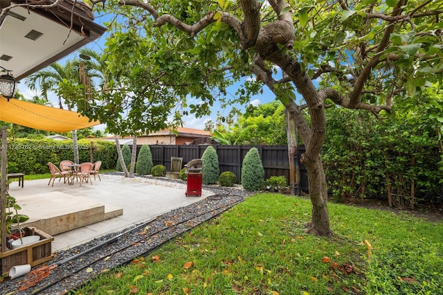 view of yard with a patio area