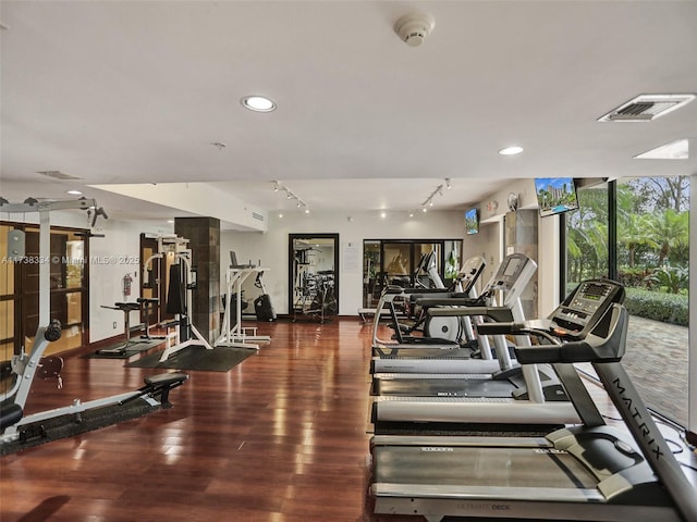 workout area featuring hardwood / wood-style flooring, track lighting, and floor to ceiling windows