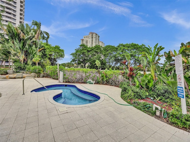 view of pool with a patio