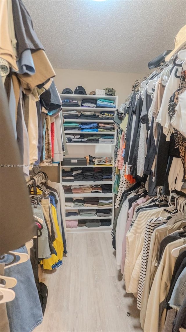 spacious closet with light hardwood / wood-style floors