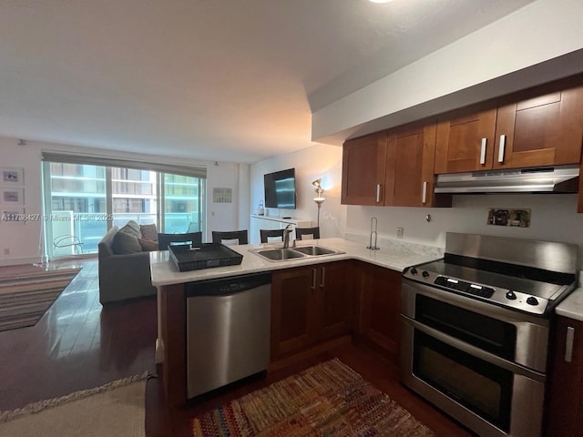 kitchen with dark wood-type flooring, appliances with stainless steel finishes, kitchen peninsula, and sink