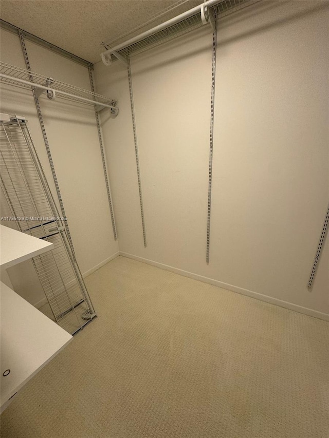 walk in closet featuring carpet