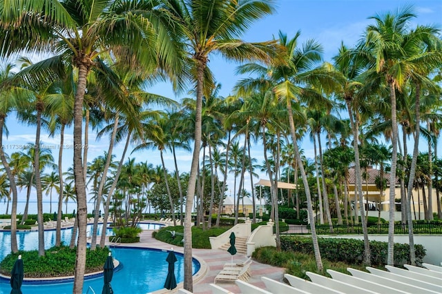 view of swimming pool