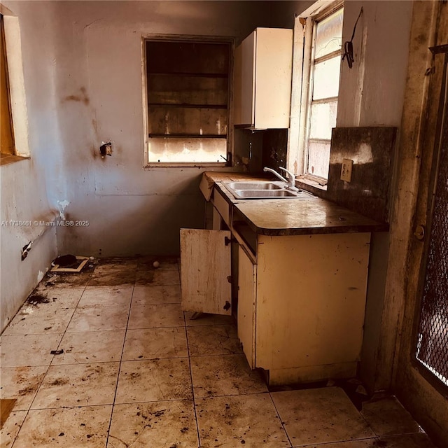 kitchen with sink