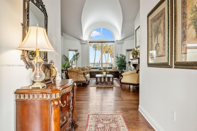 interior space with high vaulted ceiling and dark hardwood / wood-style floors