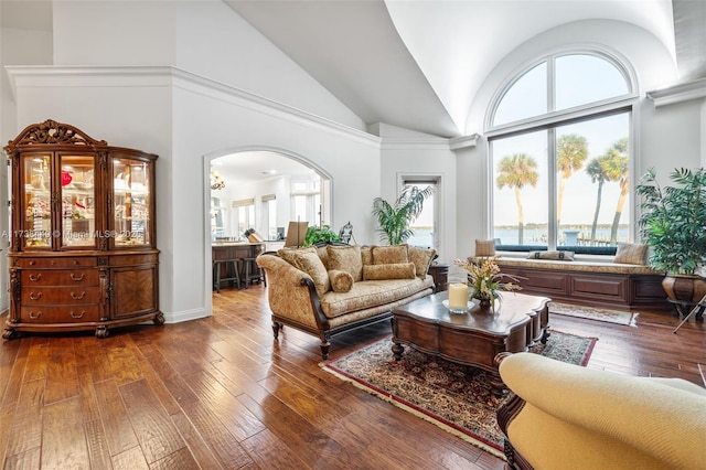 living room with wood-type flooring and high vaulted ceiling