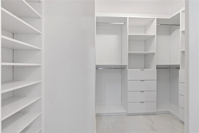 view of spacious closet