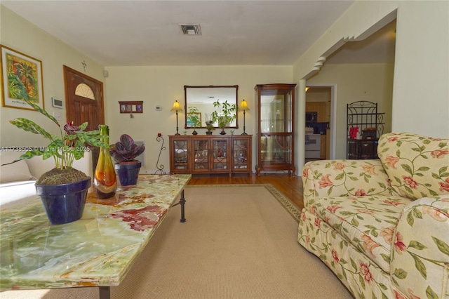 living room featuring wood-type flooring