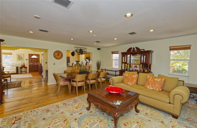 living room with a healthy amount of sunlight and light wood-type flooring