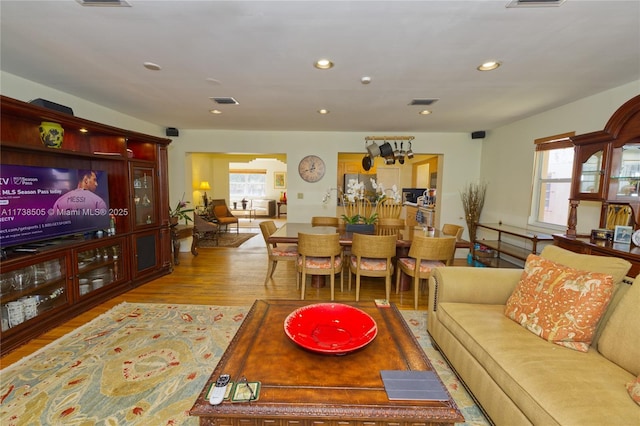 living room with hardwood / wood-style floors and plenty of natural light