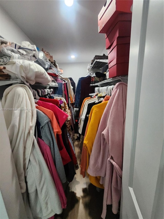 view of walk in closet