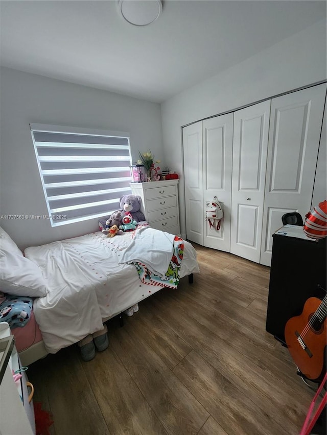 bedroom featuring wood-type flooring and a closet