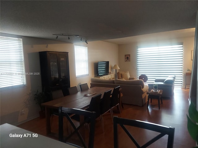 dining room with wood finished floors and track lighting