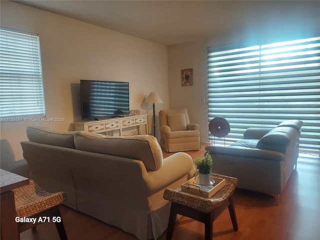 living area with wood finished floors