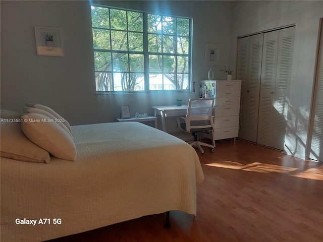 bedroom featuring a closet and wood finished floors