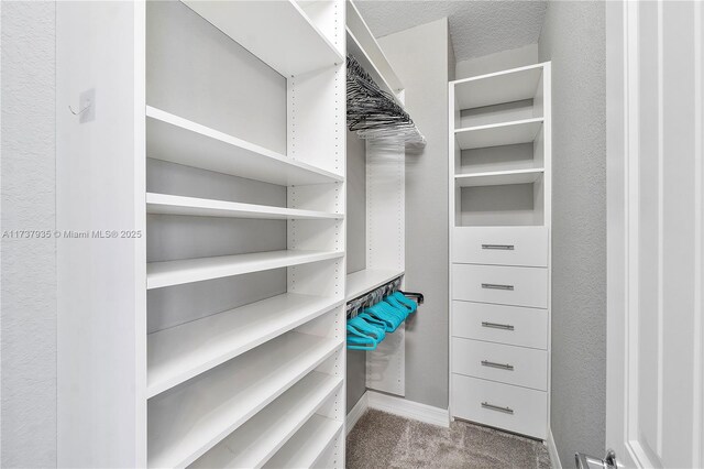 walk in closet with light carpet