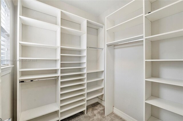 unfurnished bedroom featuring ceiling fan, light colored carpet, and a closet