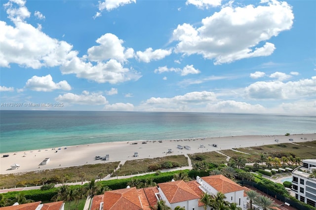 property view of water featuring a beach view