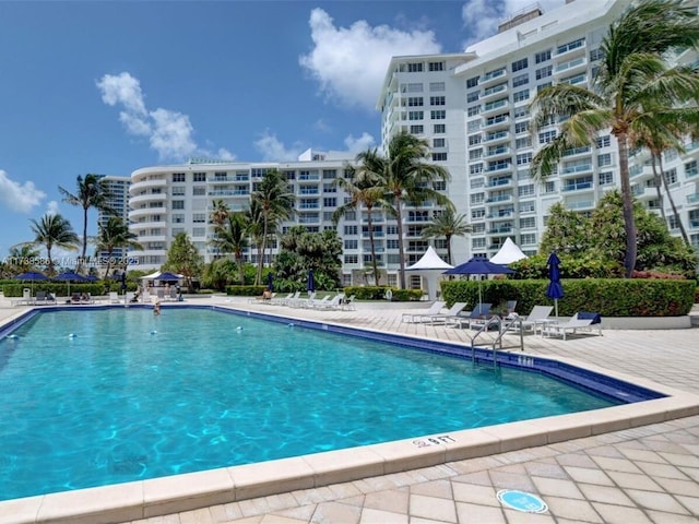 view of swimming pool featuring a patio area