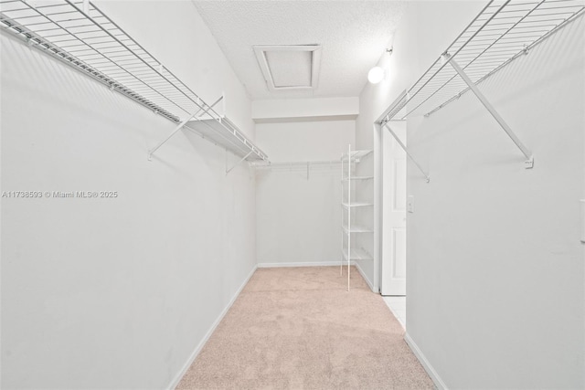 spacious closet with light colored carpet