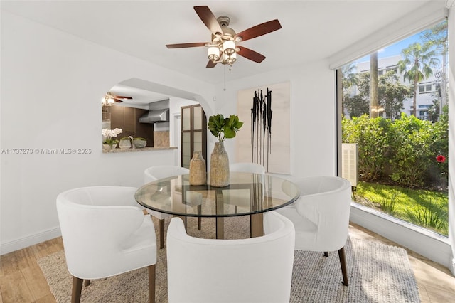 dining room featuring ceiling fan and light hardwood / wood-style floors