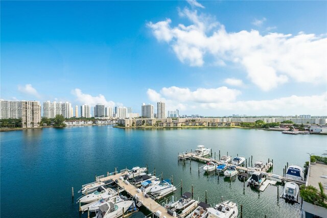 water view featuring a boat dock