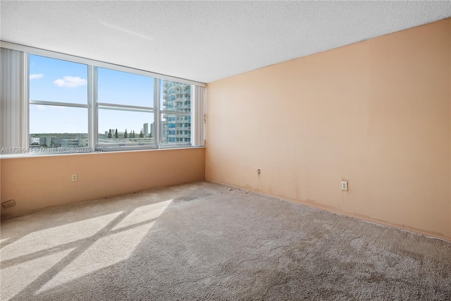 carpeted spare room featuring a textured ceiling