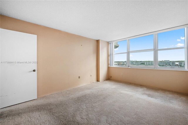 carpeted spare room with a textured ceiling