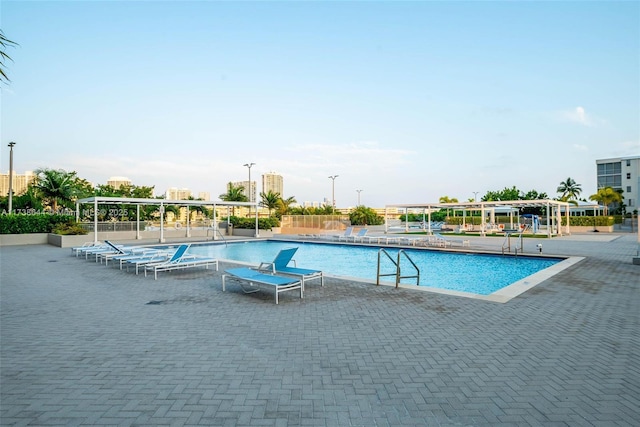 view of pool with a patio area